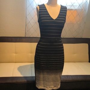 New WHBM B/W striped fitted belted Sheath